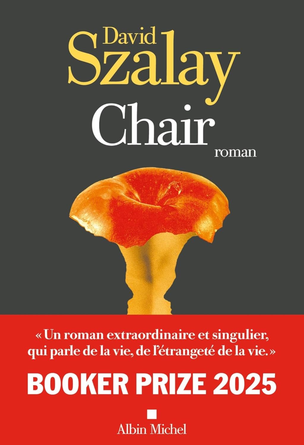 CHAIR de David&nbsp;Szalay.