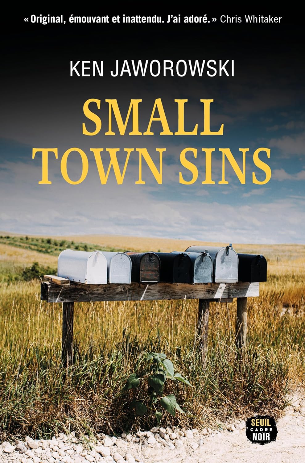 SMALL TOWN SINS de Ken&nbsp;Jaworowski.
